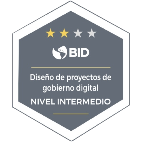 Design of Digital Government Projects